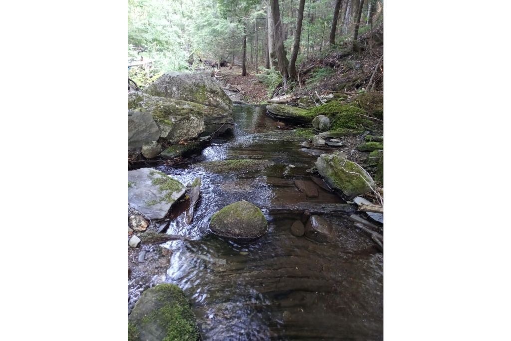 Photo of Outdoor in Dexter