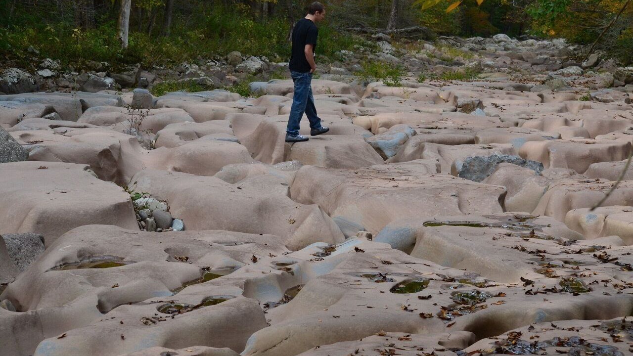 Photo of Others in Slaty Fork