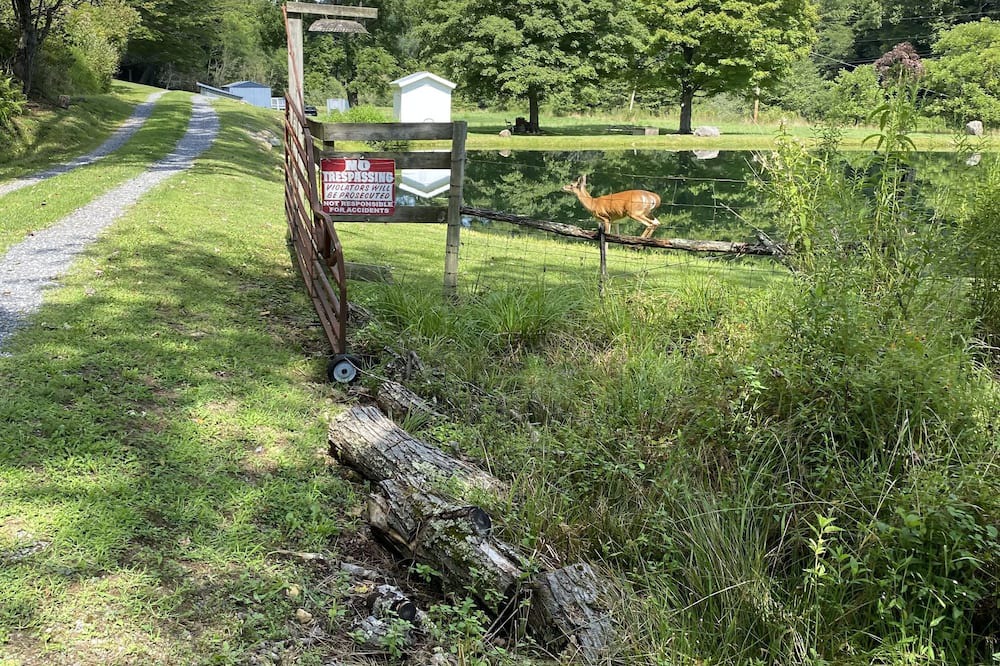 Photo of Outdoor in Harper