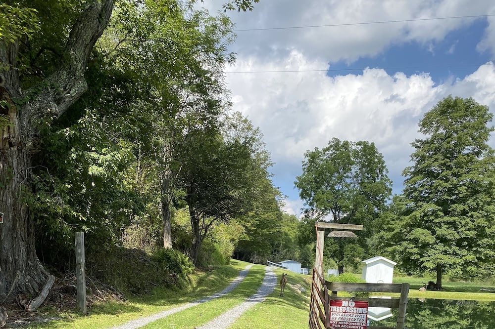 Photo of Outdoor in Harper