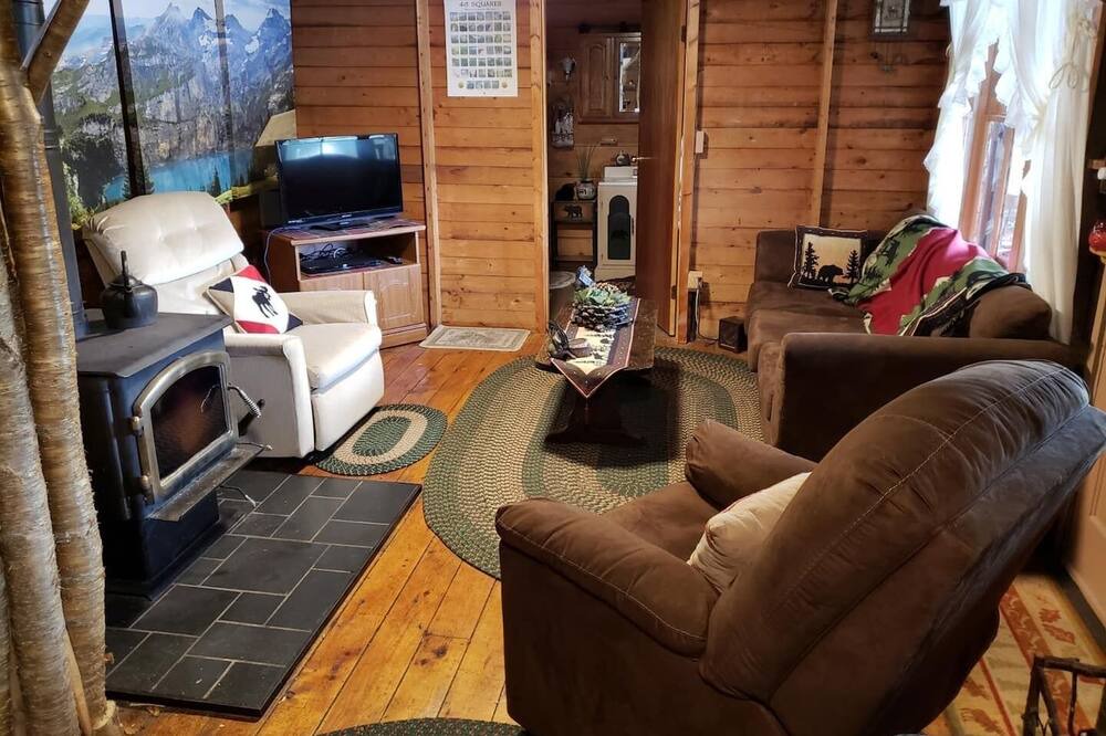 Photo of Livingroom in Forestport