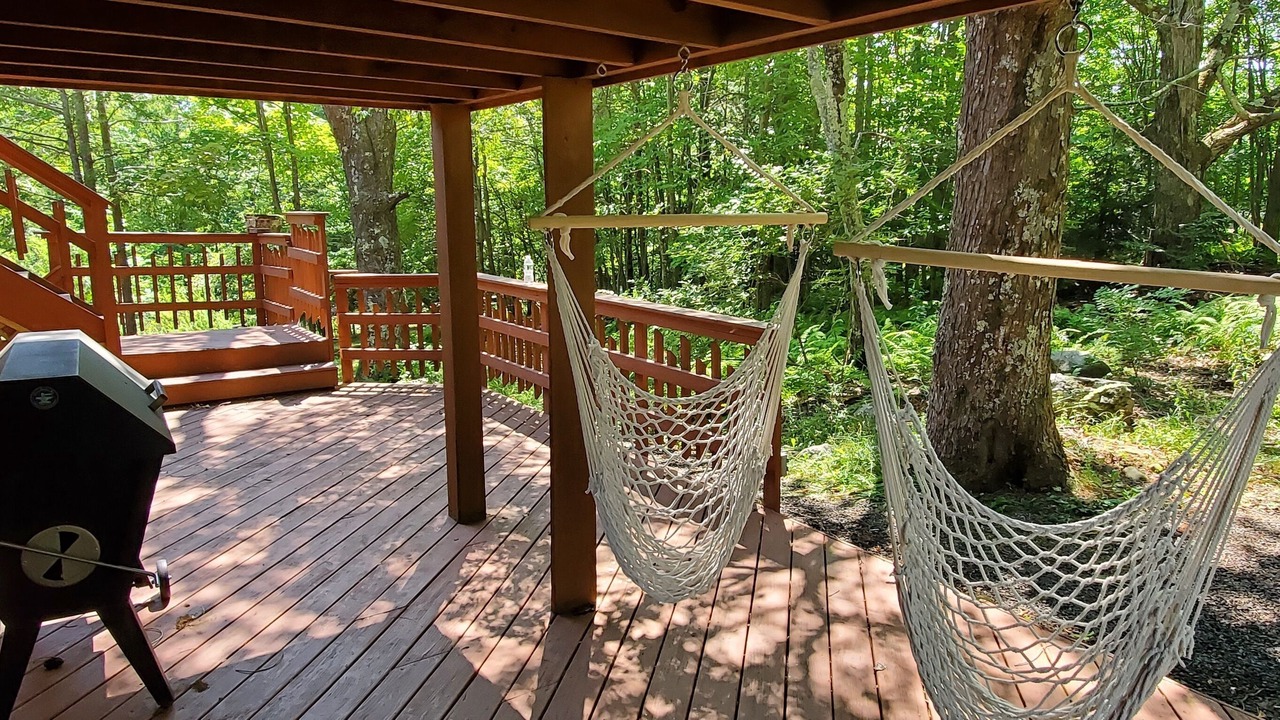 Photo of Outdoor in Tannersville