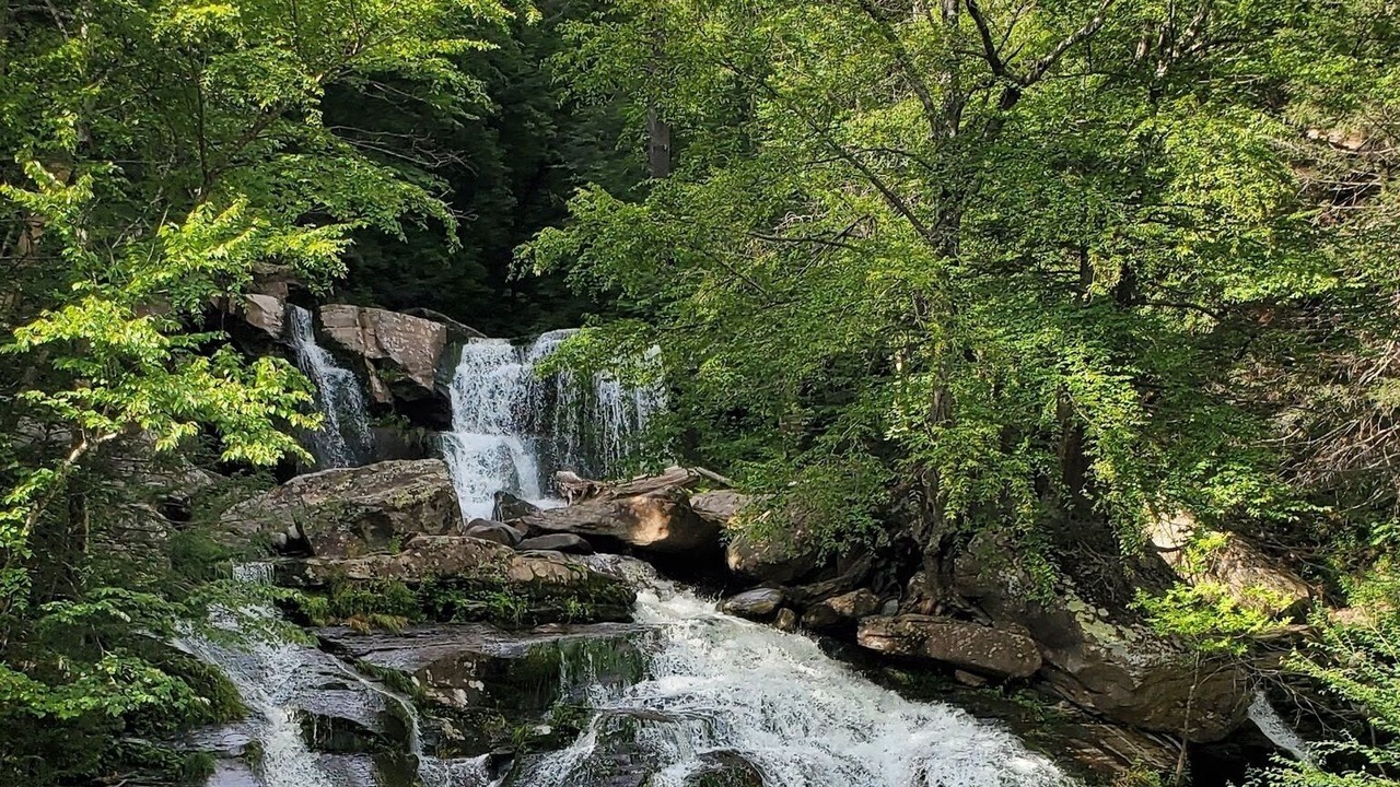 Photo of Outdoor in Tannersville