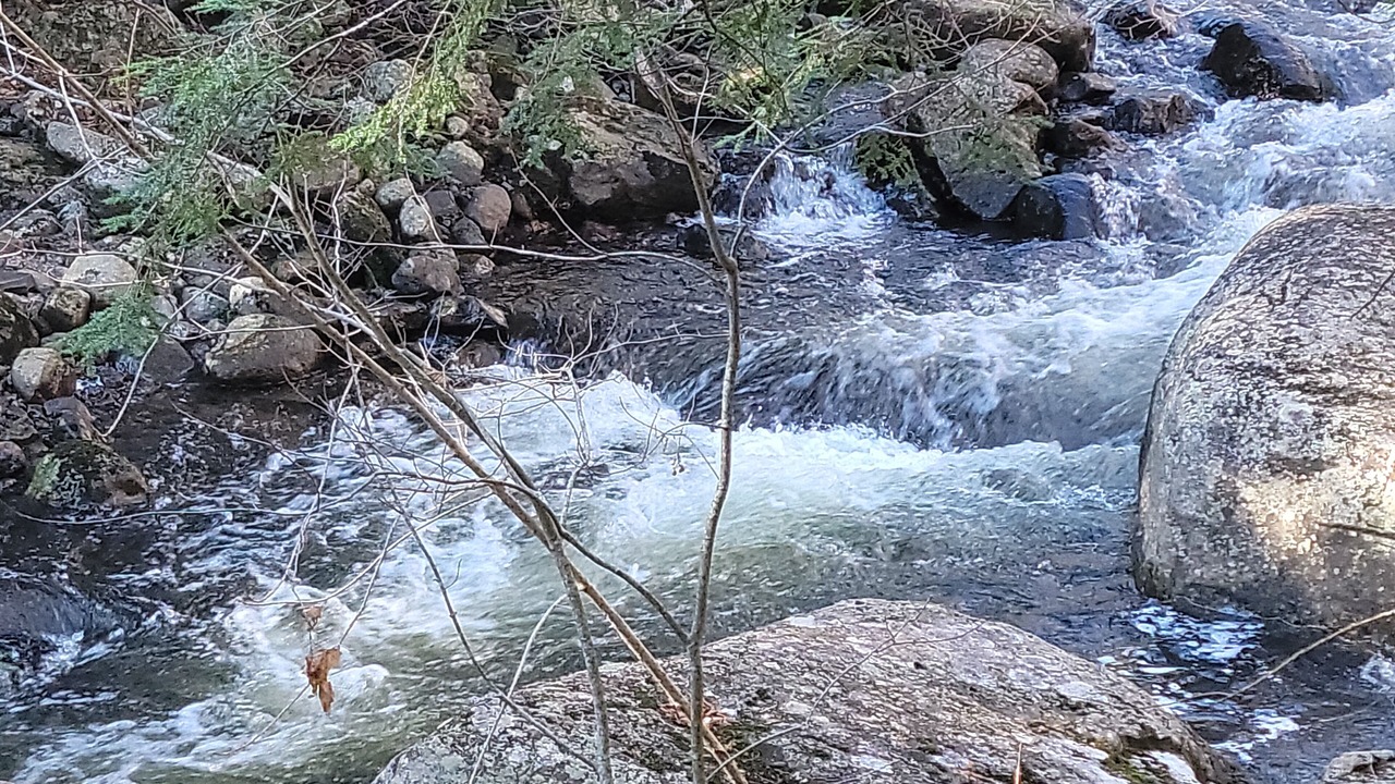 Photo of Others in North River