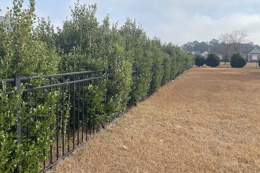 Photo of Outdoor in Cape Fear