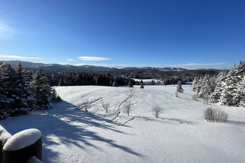 Photo of Others in Colebrook