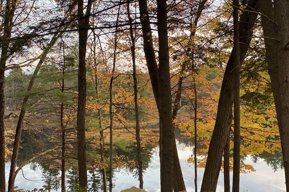 Photo of Outdoor in Weare