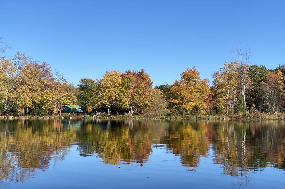 Photo of Outdoor in Weare