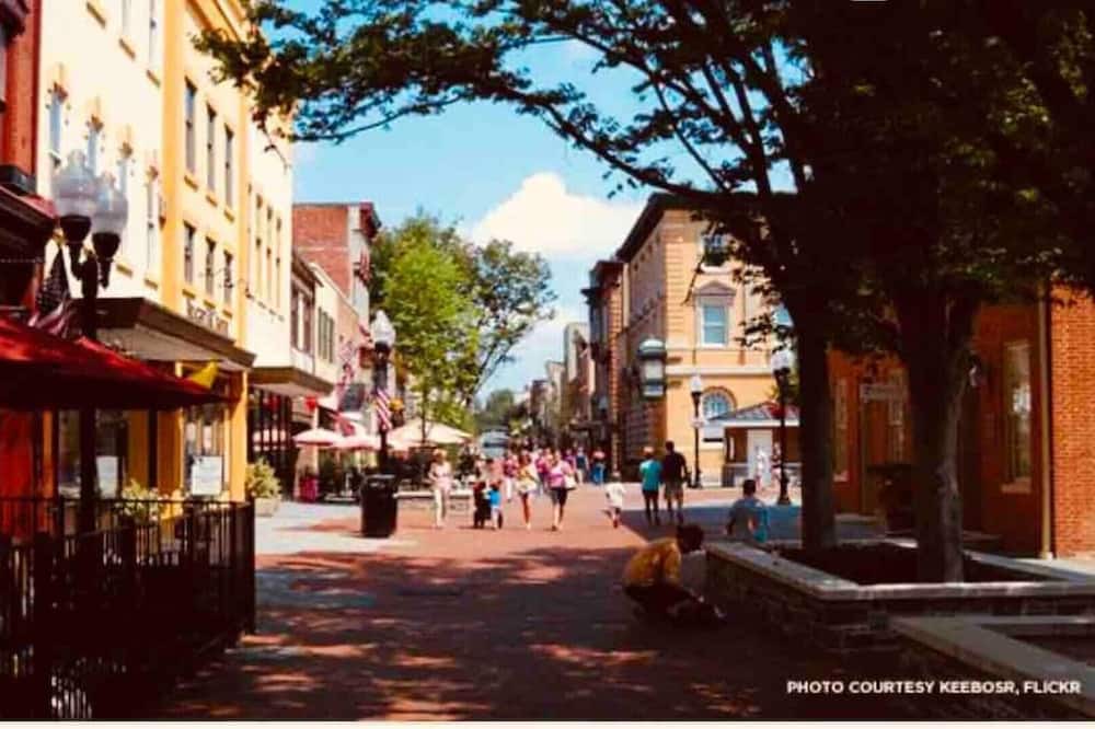 Photo of Others in Winchester