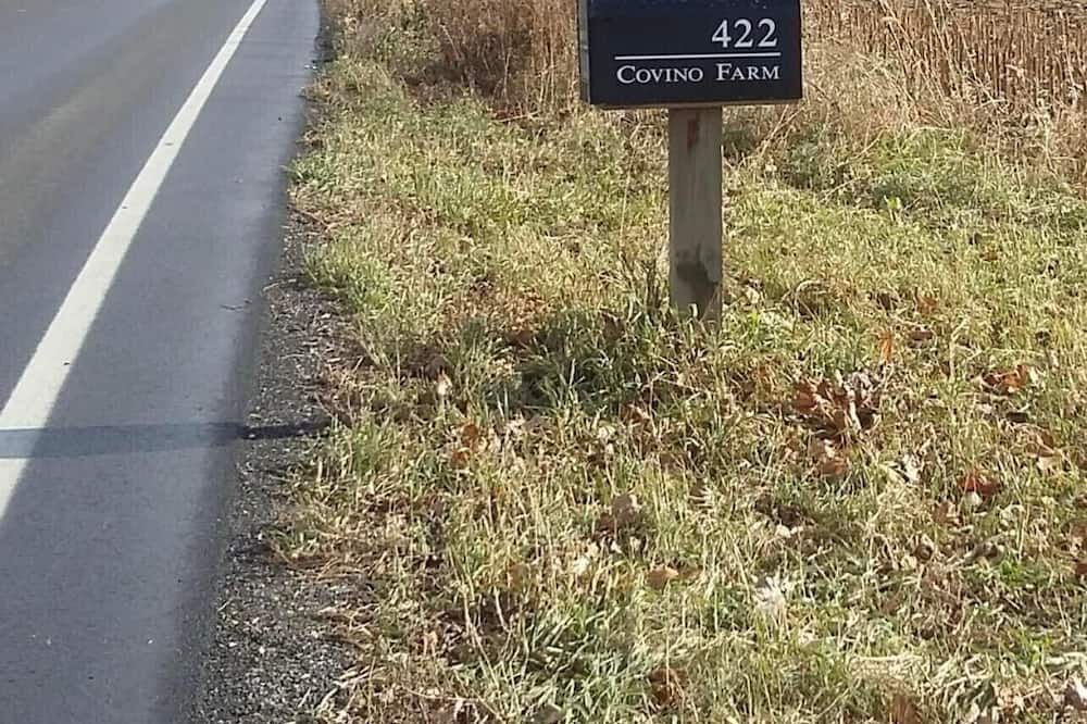 Photo of Outdoor in West Pawlet