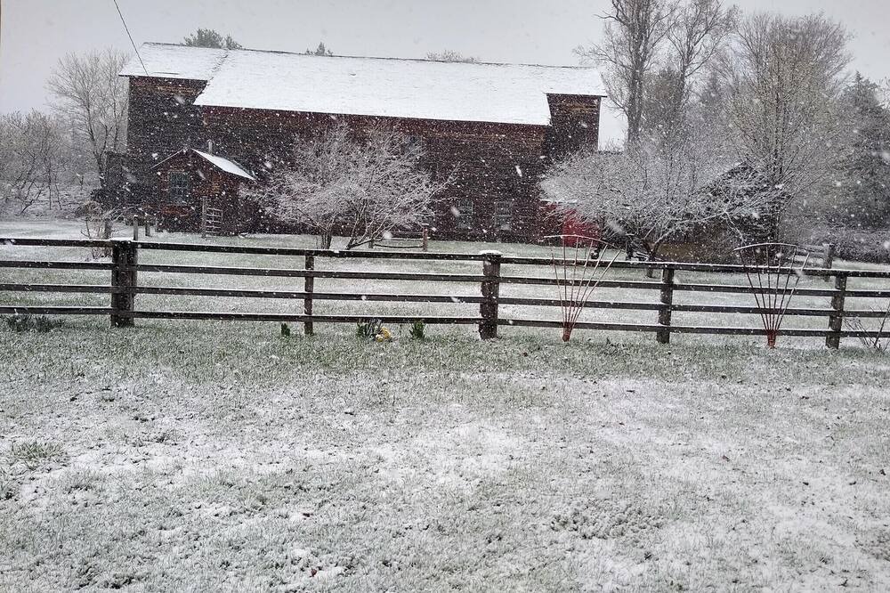 Photo of Outdoor in West Pawlet