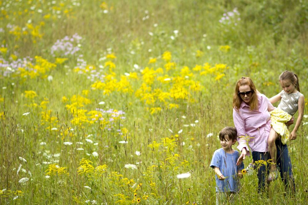 Photo of Outdoor in Woodstock