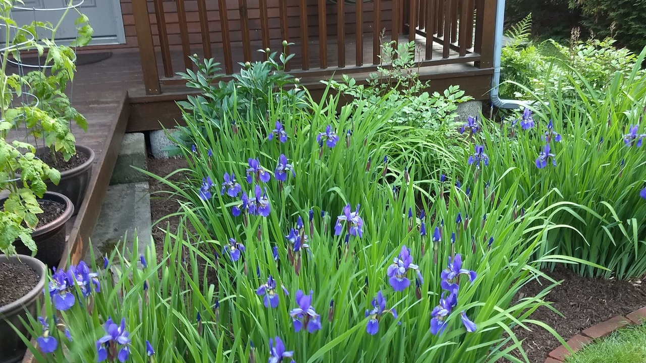 Photo of Outdoor in Newport