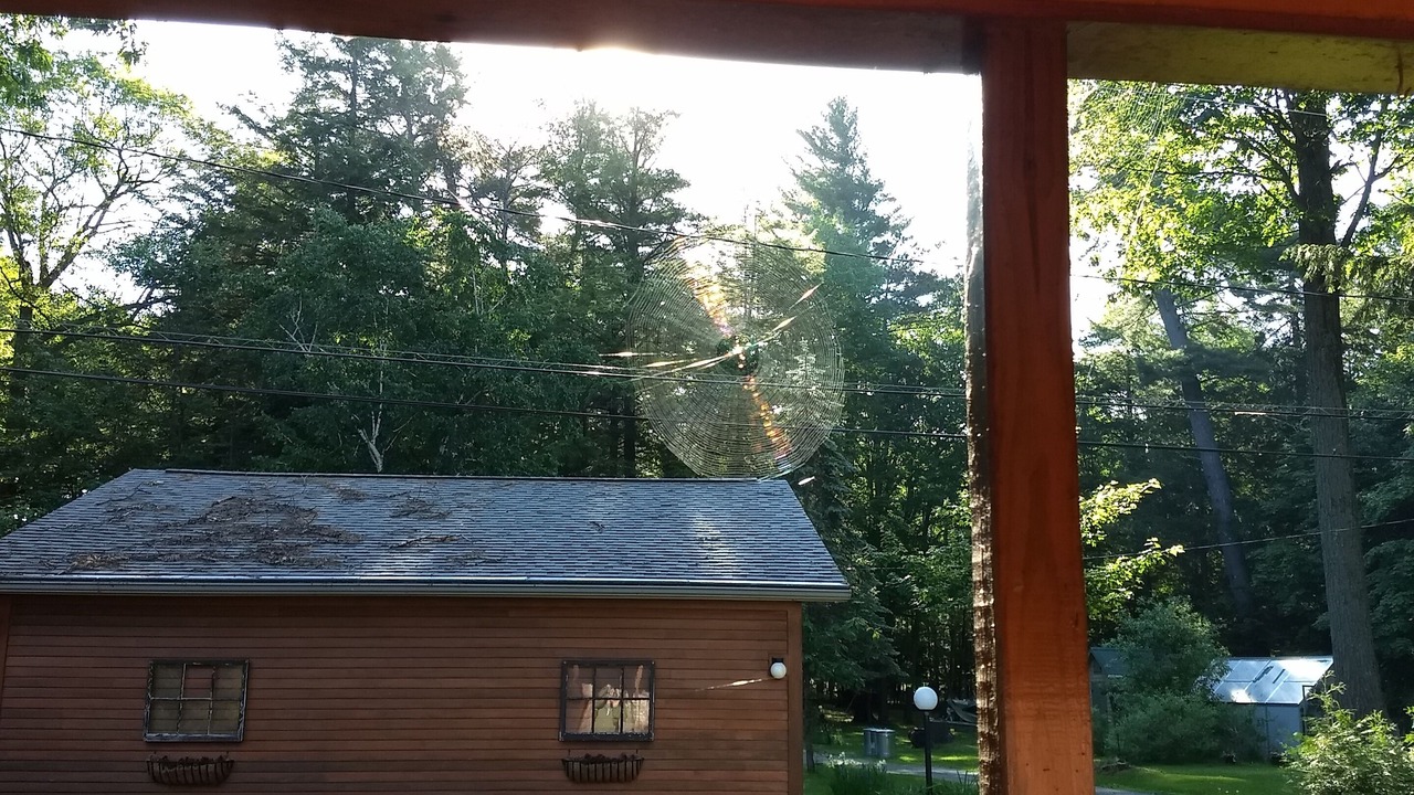 Photo of Outdoor in Newport