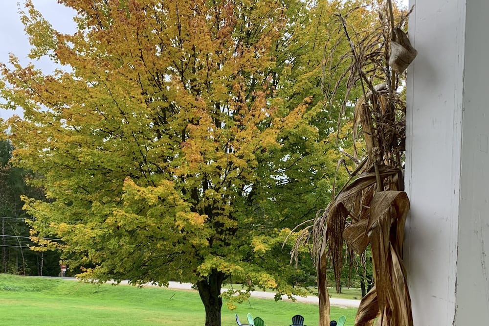 Photo of Outdoor in East Burke