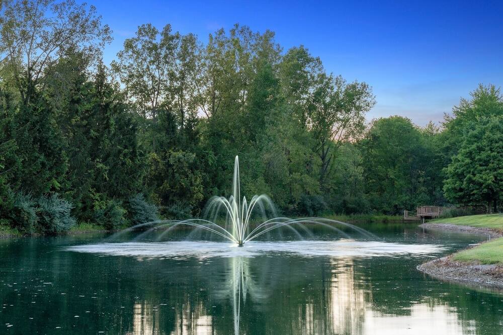 Photo of Outdoor in Medina