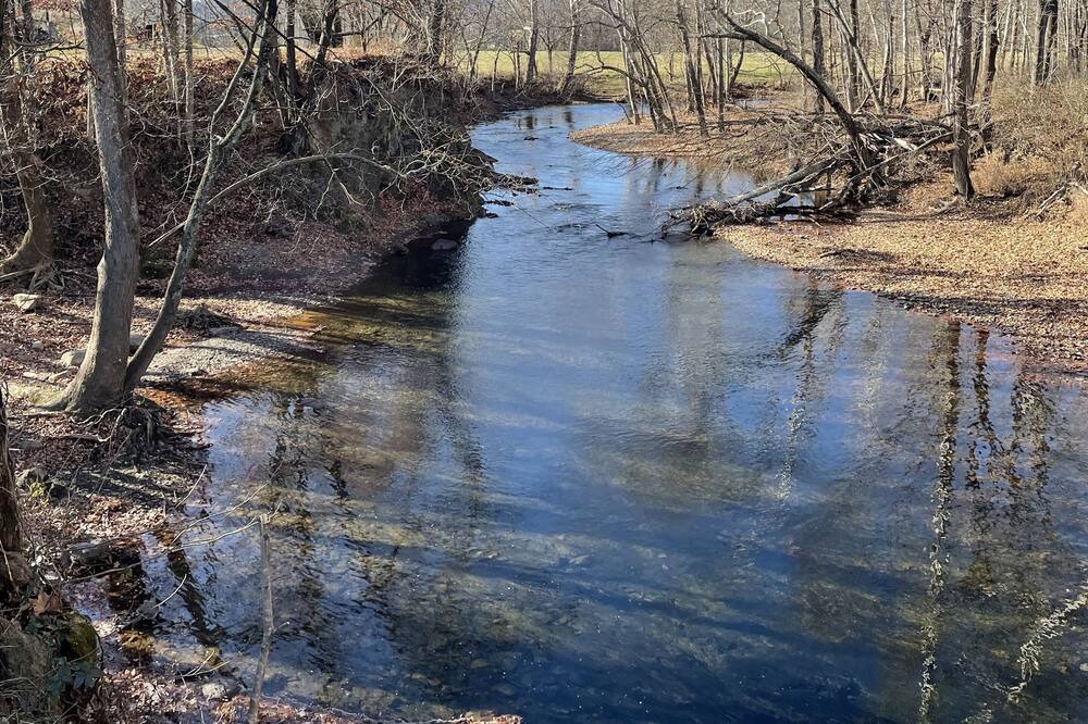 Photo of Others in Craig Creek