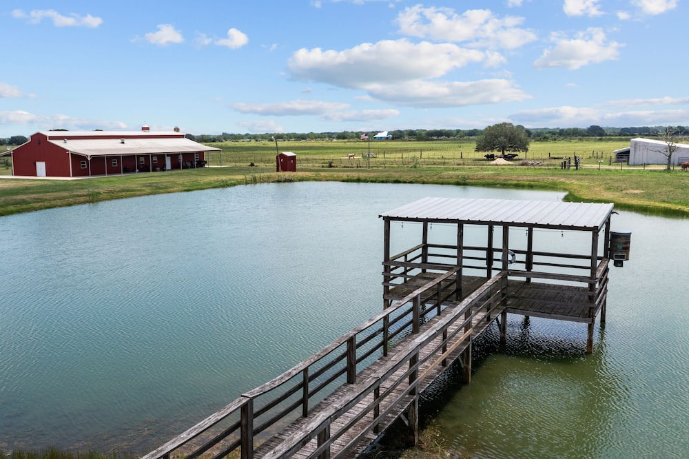 Photo of Outdoor in Damon