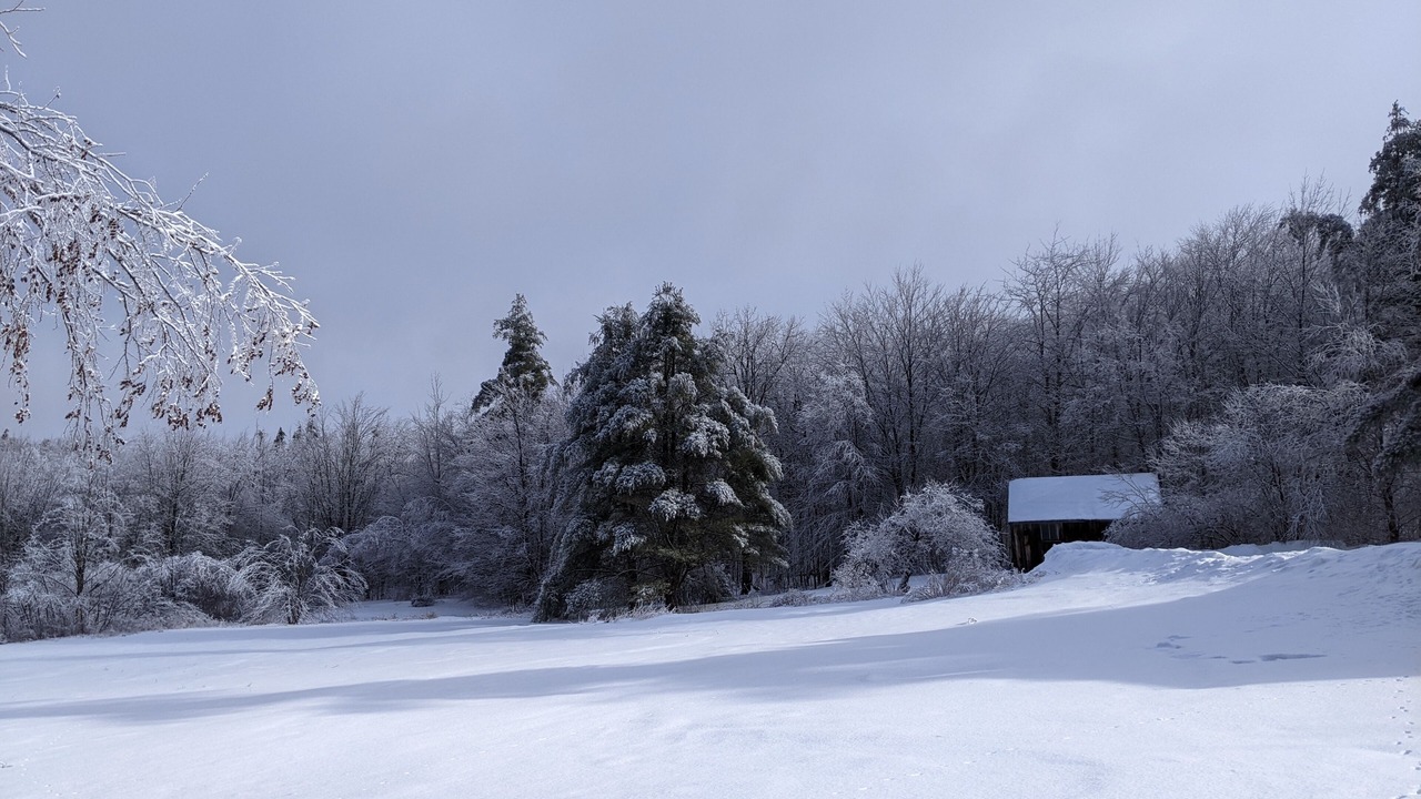 Photo of Outdoor in Whitingham