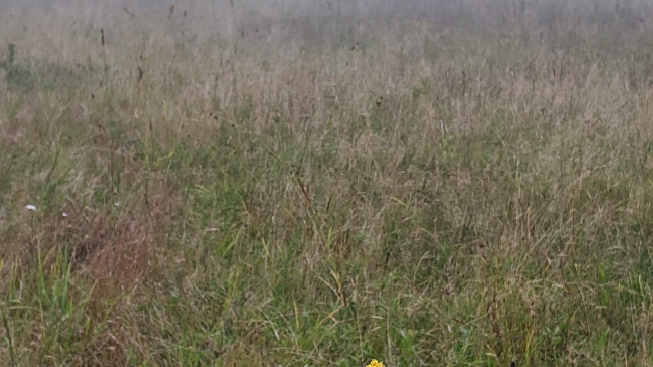 Photo of Outdoor in Whitingham