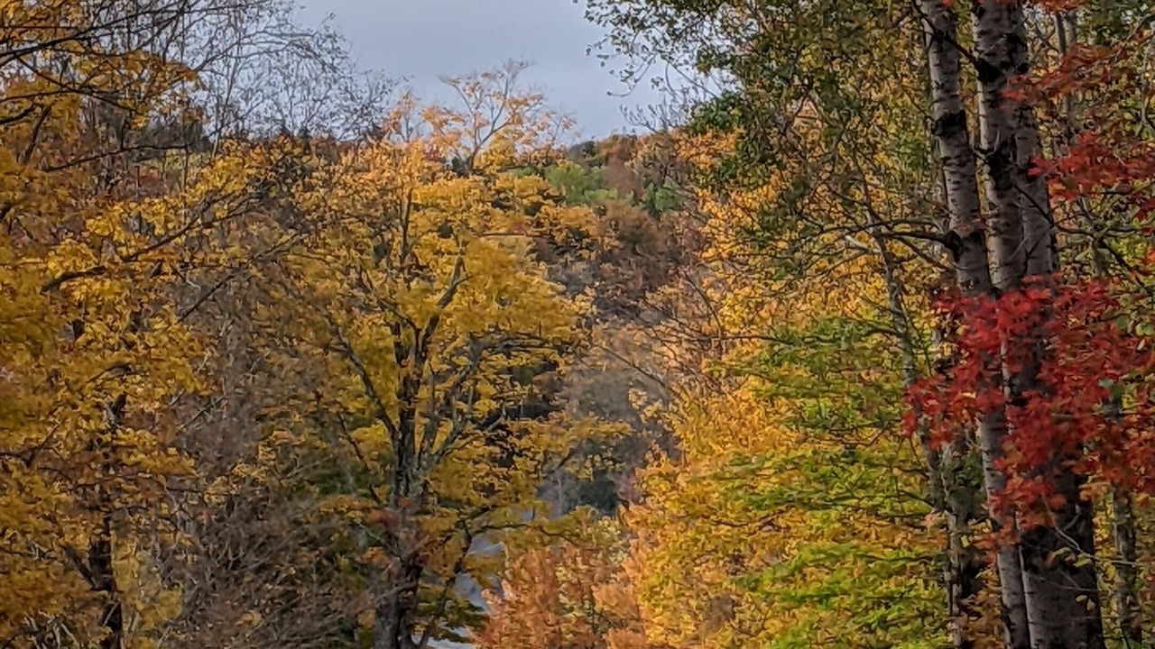 Photo of Outdoor in Whitingham