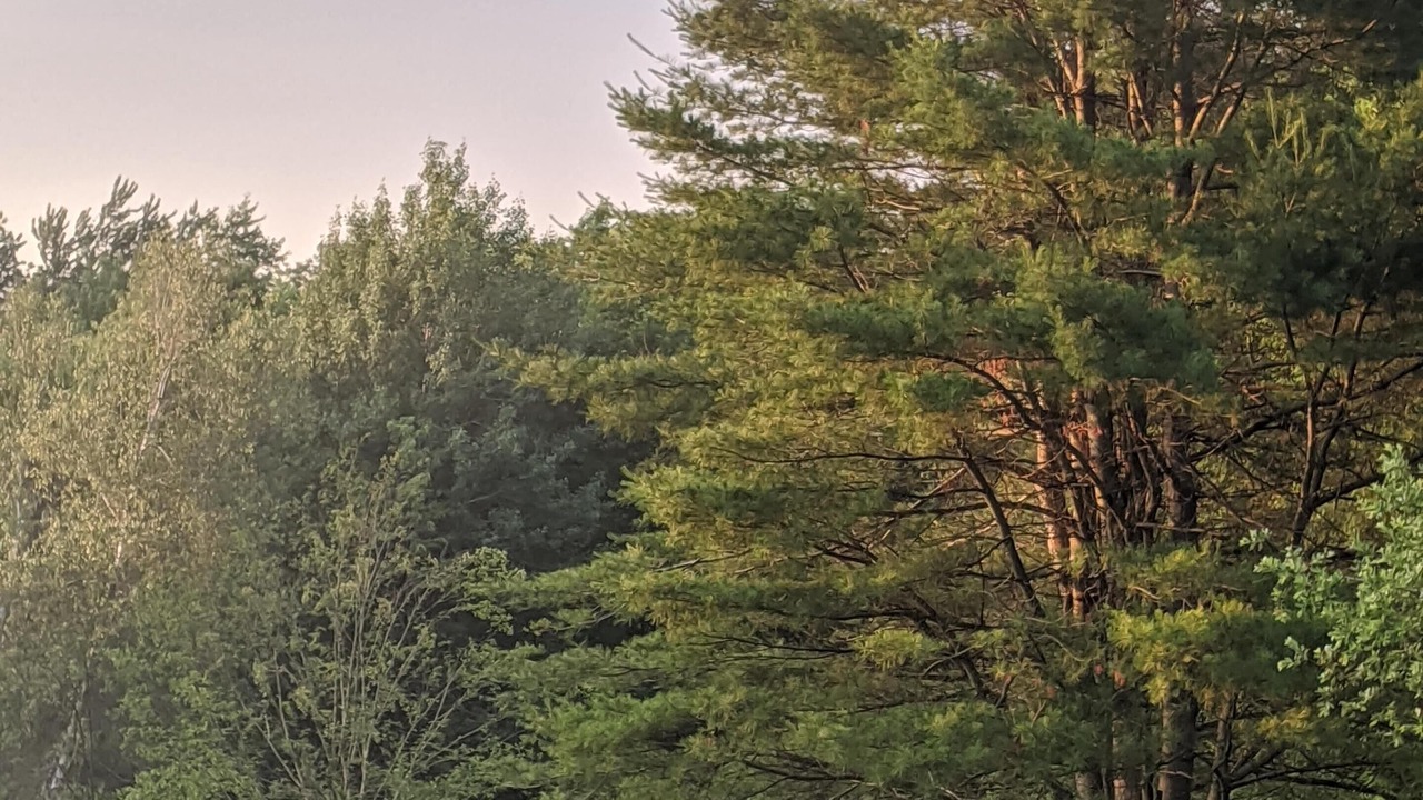 Photo of Outdoor in Whitingham
