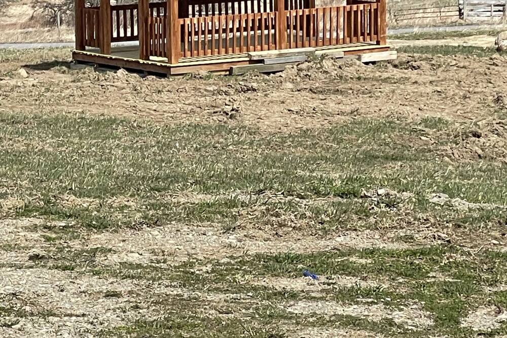 Photo of Outdoor in Fredonia