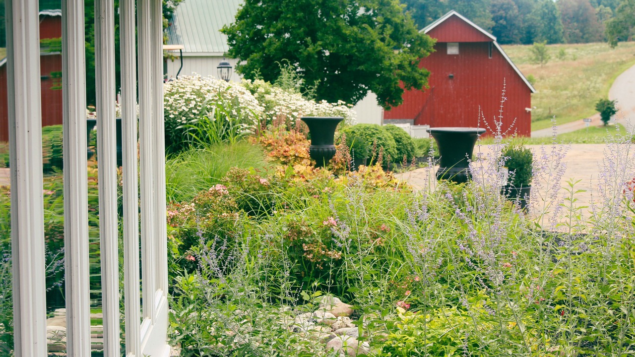 Photo of Outdoor in Clarksville