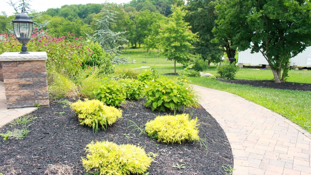 Photo of Outdoor in Clarksville