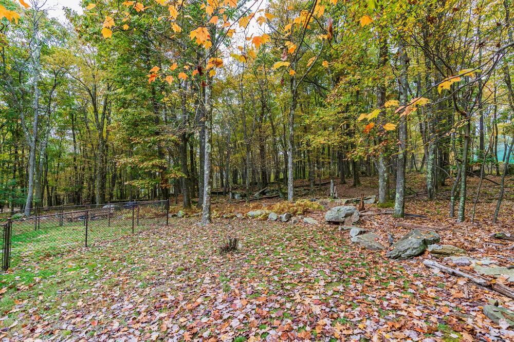 Photo of Outdoor in Alpine Lake