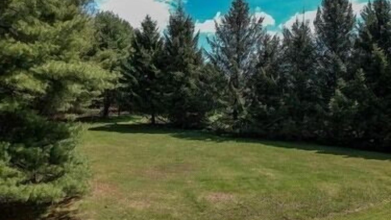 Photo of Outdoor in Prattsville
