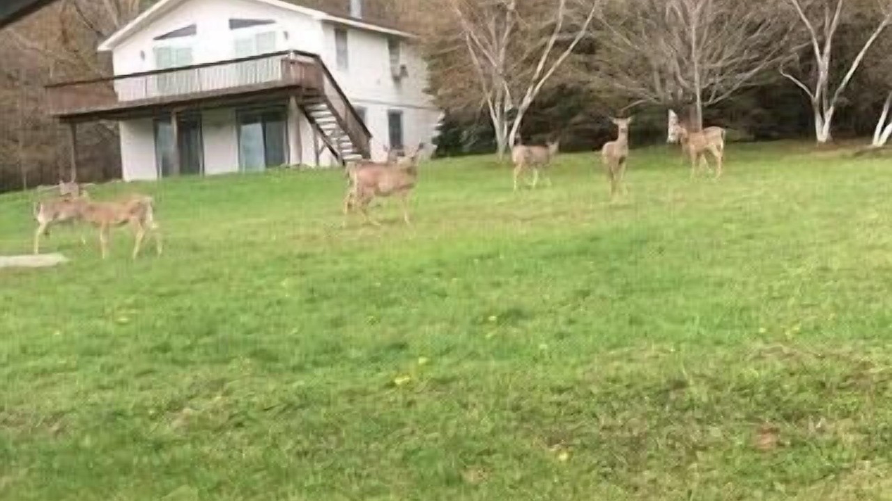 Photo of Outdoor in Prattsville