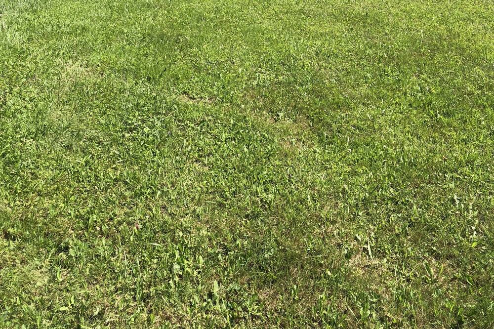 Photo of Outdoor in Barton