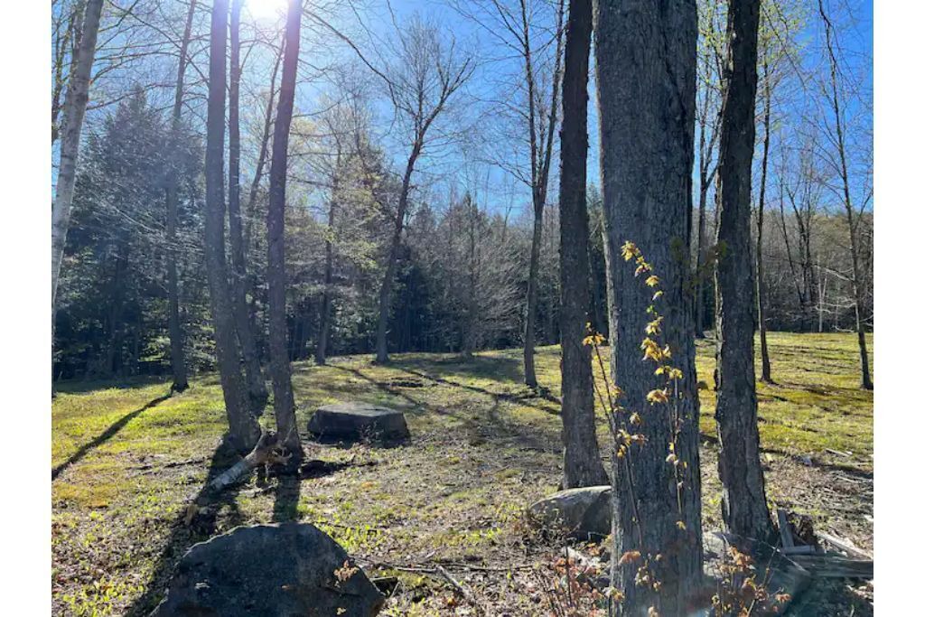 Photo of Outdoor in Springfield