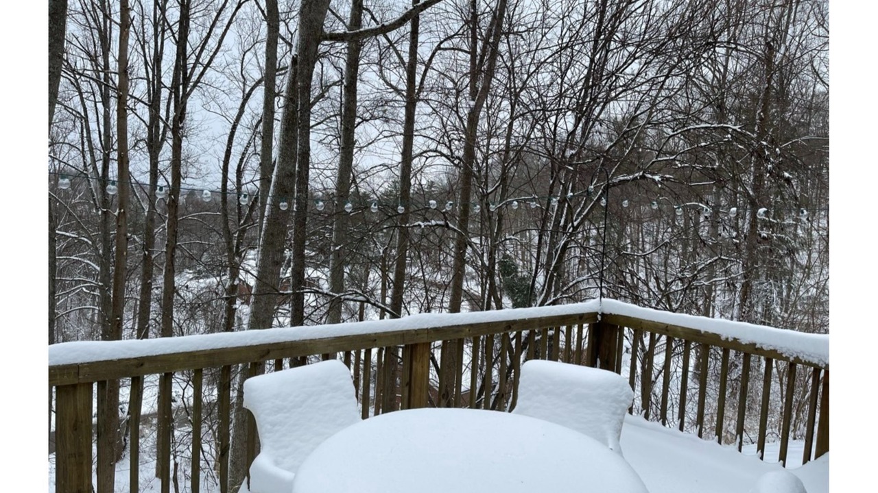 Photo of Outdoor in Charleston