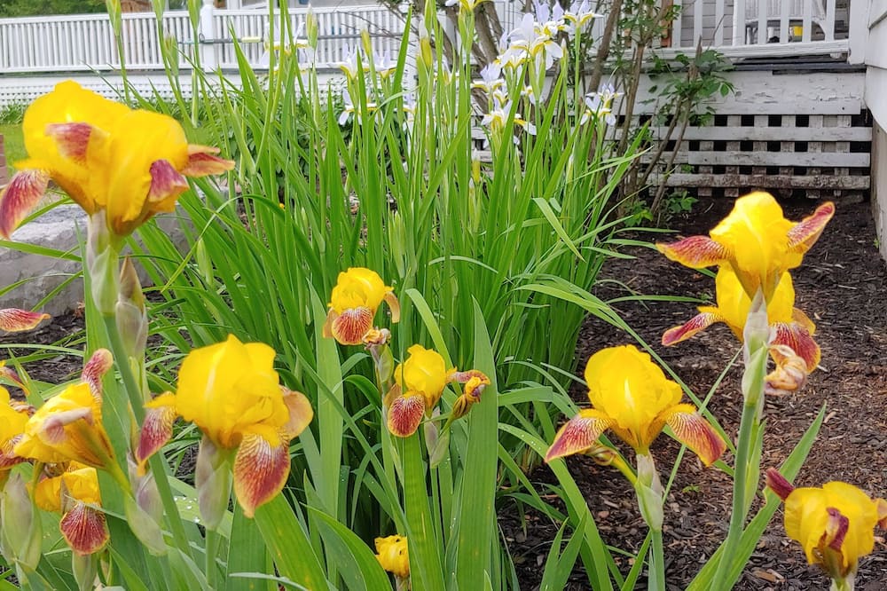 Photo of Outdoor in Chittenden County
