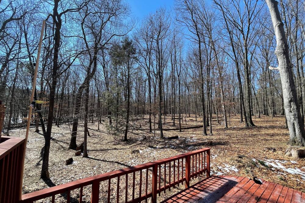 Photo of Others in The Woods