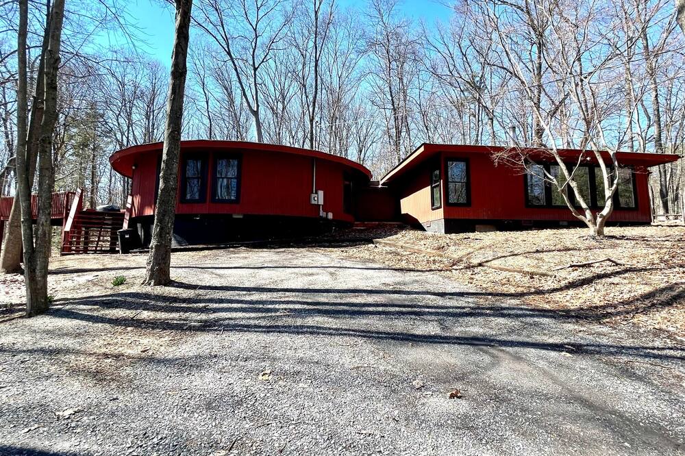 Photo of Outdoor in The Woods