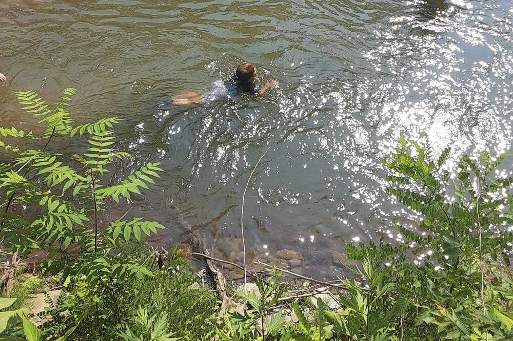 Photo of Others in Newfield