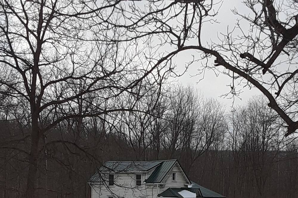 Photo of Outdoor in Newfield