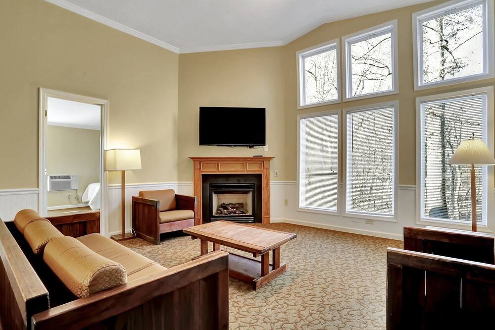 Photo of Livingroom in The Woods