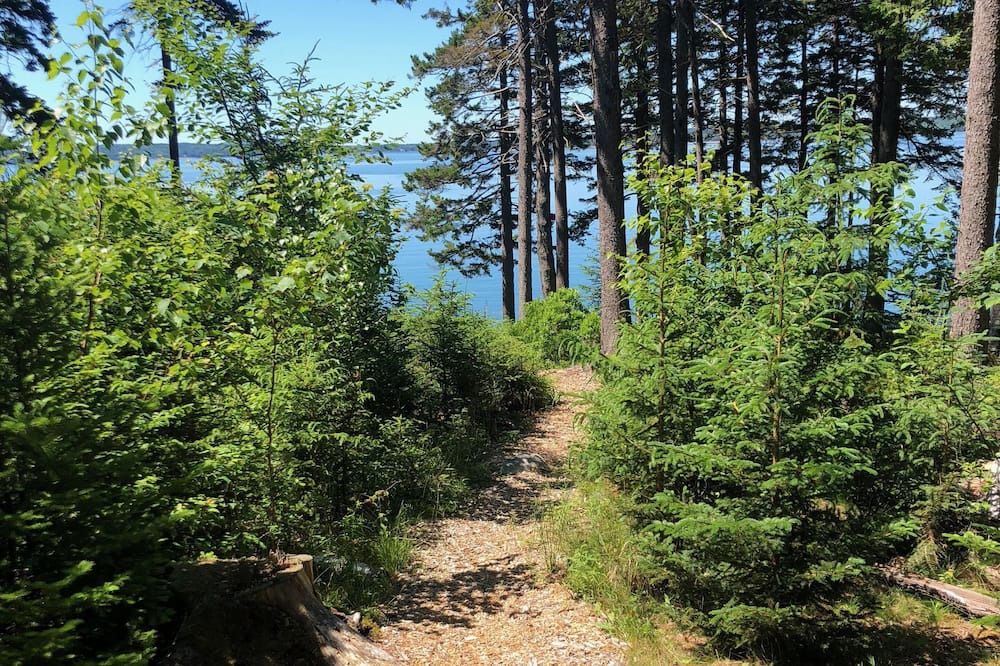 Photo of Others in Hancock Point