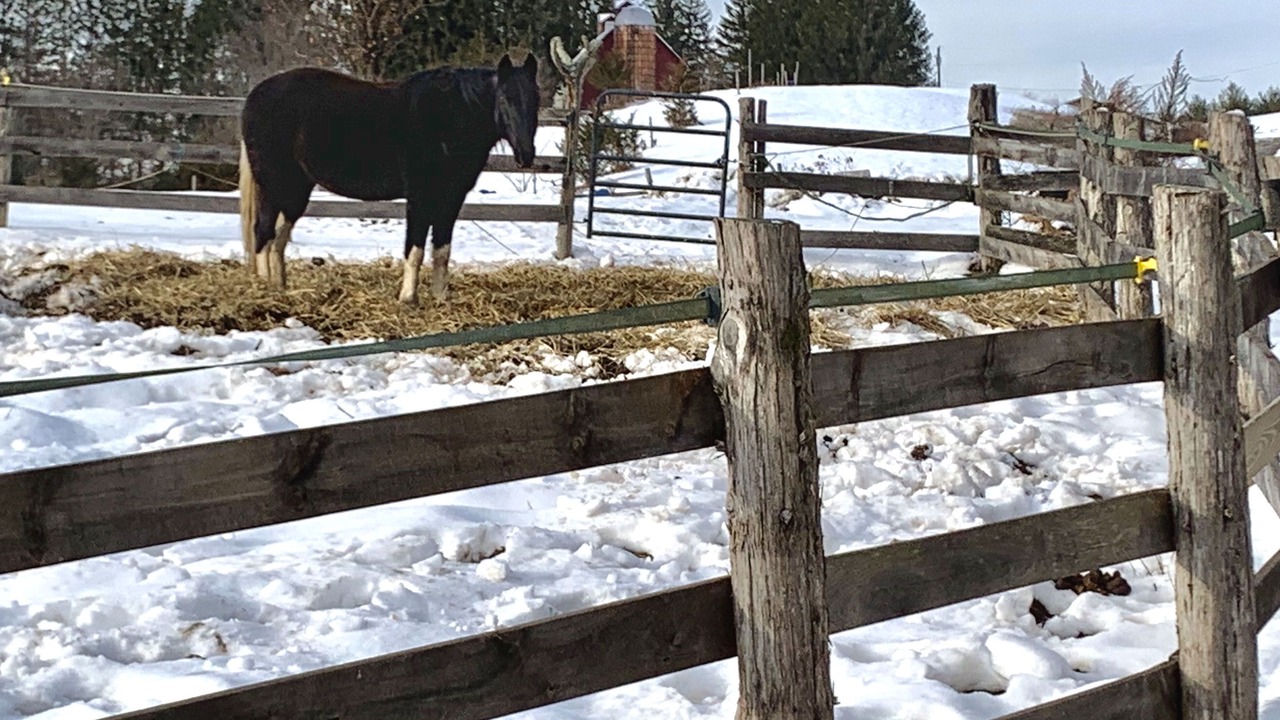 Photo of Outdoor in Kerhonkson