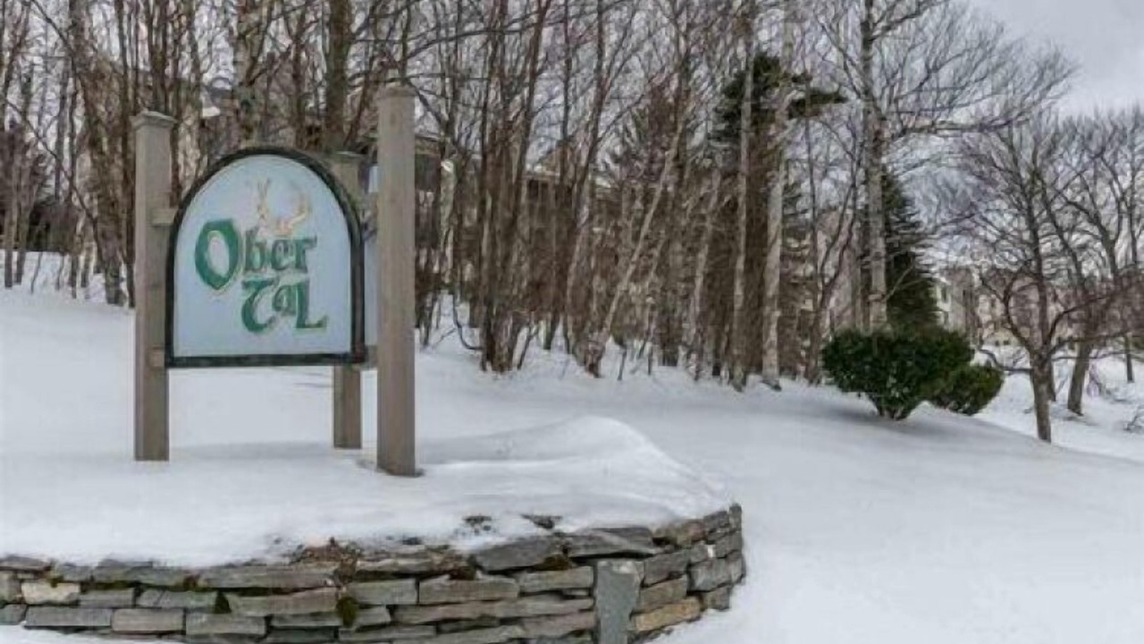 Photo of Others in Stratton Mountain