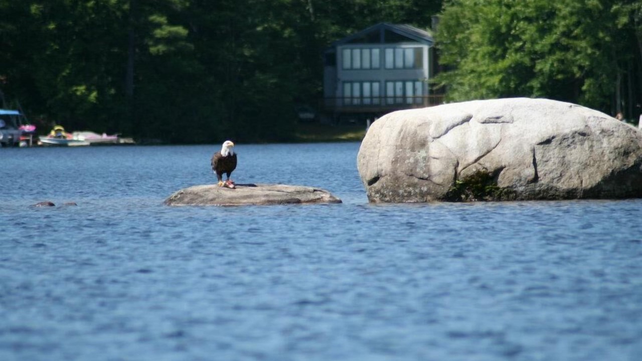 Photo of Outdoor in Alton Bay