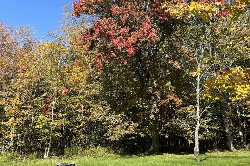 Photo of Outdoor in Weston