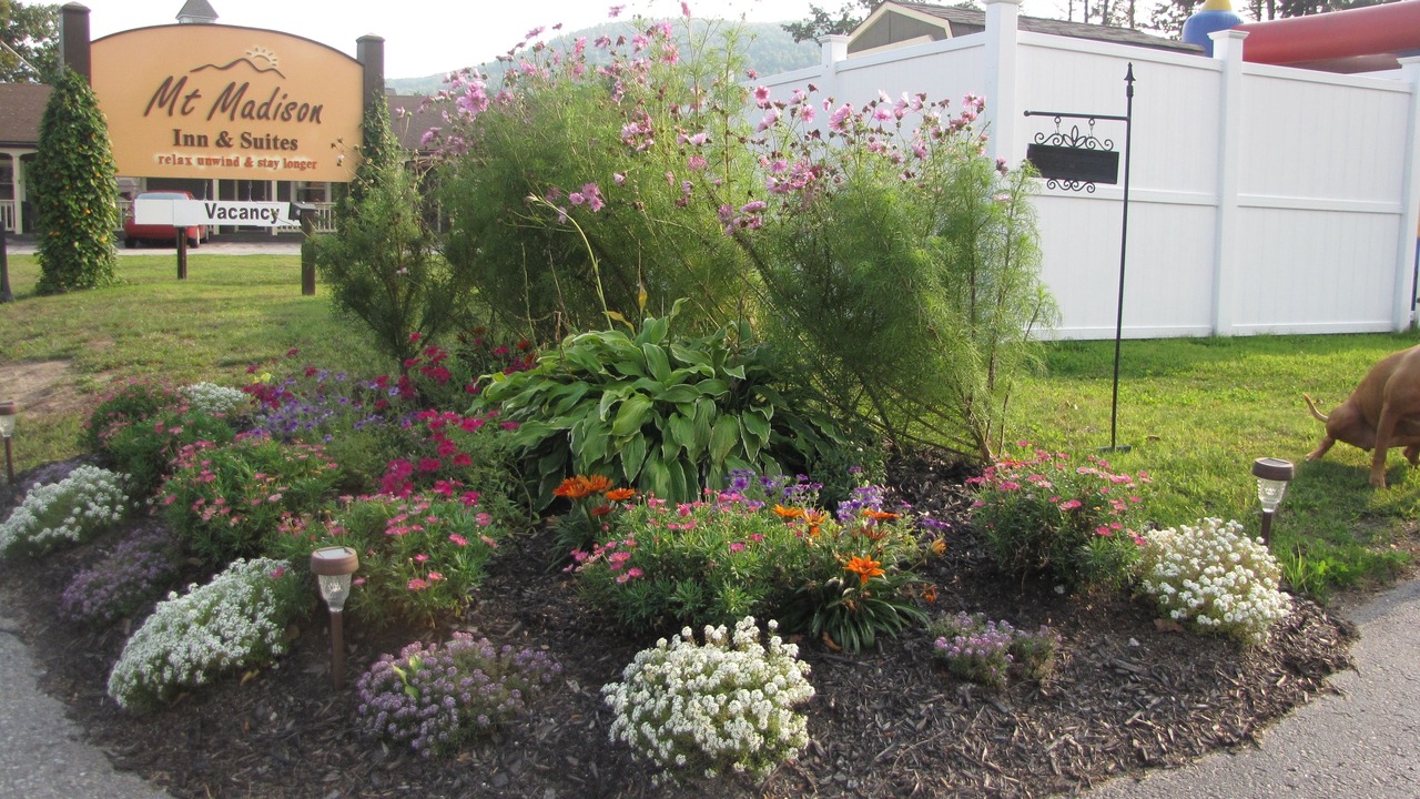 Photo of Outdoor in Upper Village