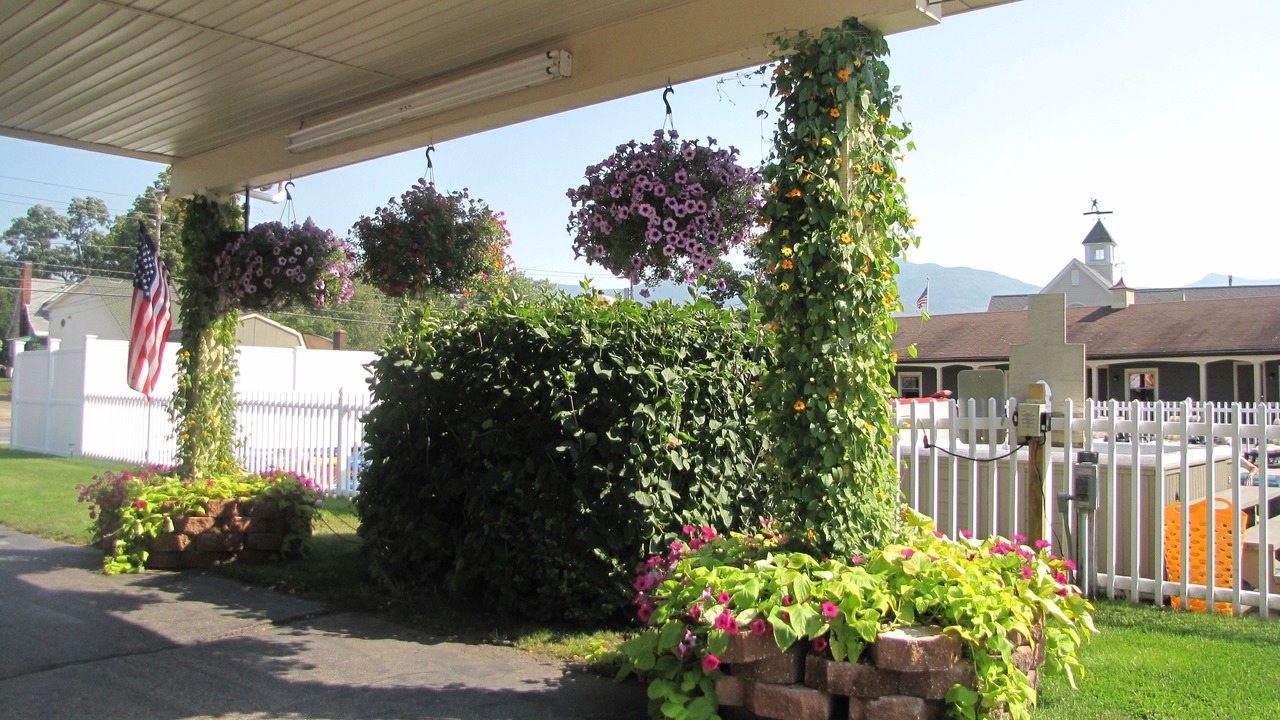 Photo of Outdoor in Upper Village