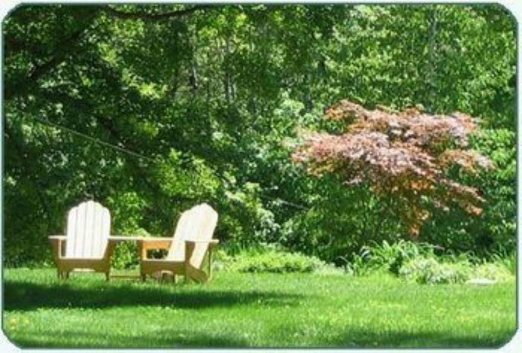 Photo of Others in Intervale
