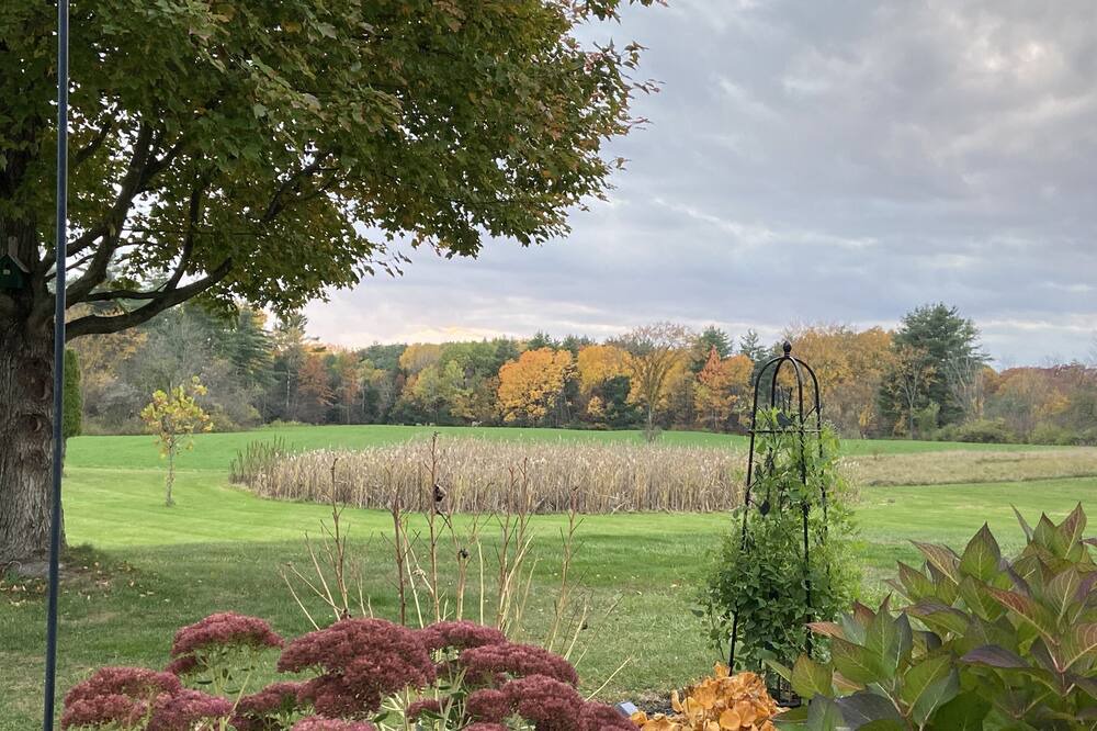 Photo of Outdoor in Saratoga Springs